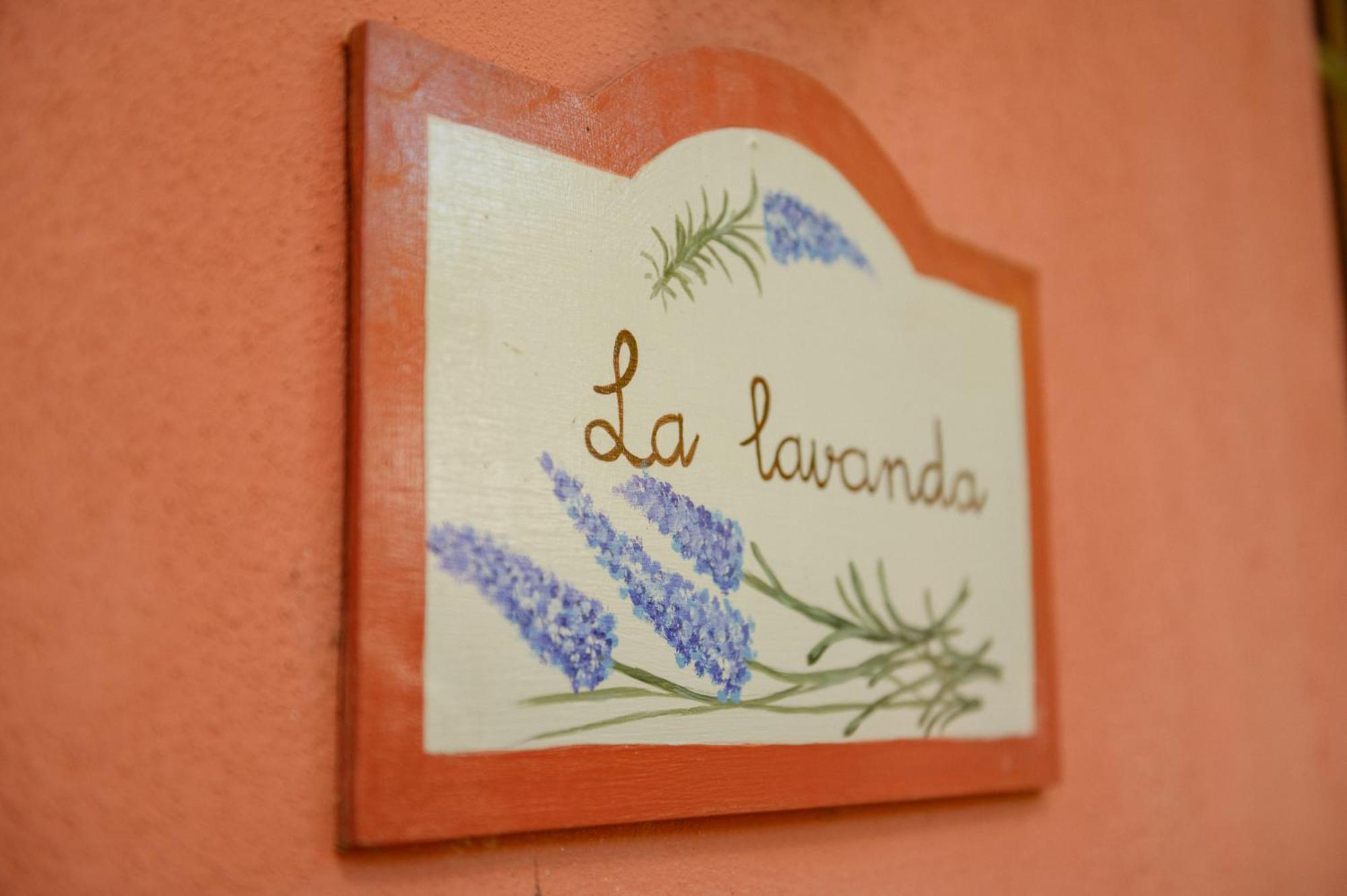 Homeforguest Cosy Rural Flat La Lavanda Surrounded By Nature タコロンテ エクステリア 写真